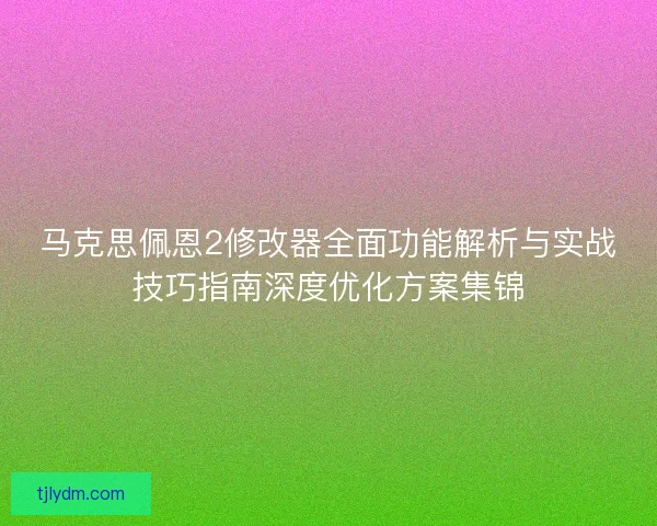 马克思佩恩2修改器全面功能解析与实战技巧指南深度优化方案集锦